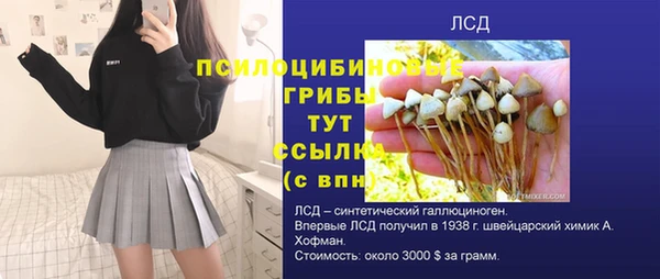дурь Майский