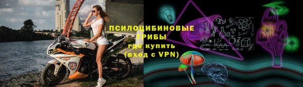 шишки Мегион