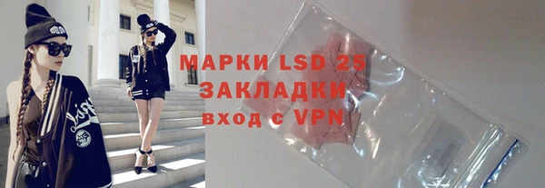 индика Медногорск