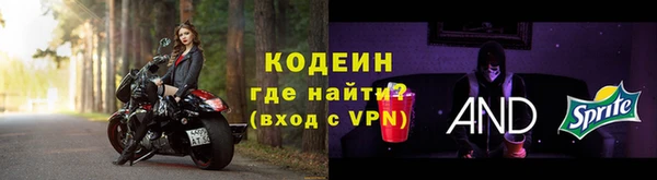 индика Медногорск