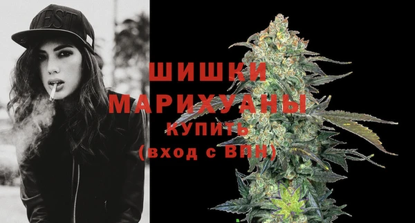 индика Медногорск