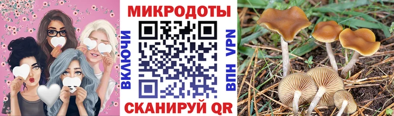 купить наркотики сайты  Фёдоровский  кракен как войти  Псилоцибиновые грибы Psilocybine cubensis 